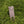 Divot Tool